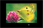 Скидка 30% на AquaView 47" VPB